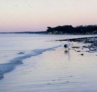 Loverings Beach House - D'estrees Bay - Accommodation Noosa
