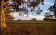Mirrabooka Bed And Breakfast - thumb 1