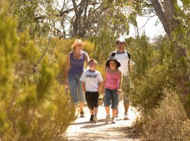 Long Island Caravan Park Cabins - Accommodation Noosa 0