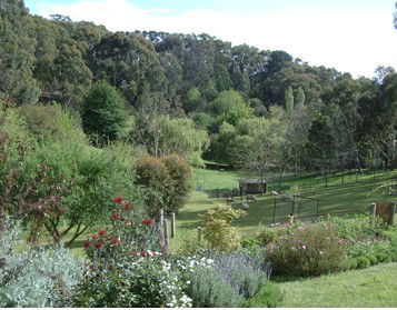 Lorikeet Lane B&B - Accommodation Noosa 1