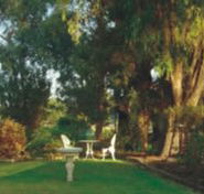 Riverfront Retreat - Accommodation Noosa