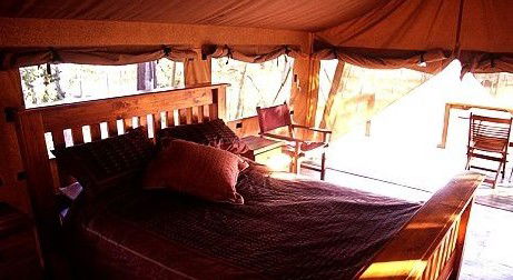 Jabiru Safari Lodge At Mareeba Wetlands - Accommodation Noosa 1