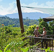 Rose Gums Wilderness Retreat - Accommodation Noosa
