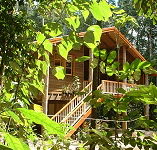 Rivers Edge Rainforest Retreat - Accommodation Noosa