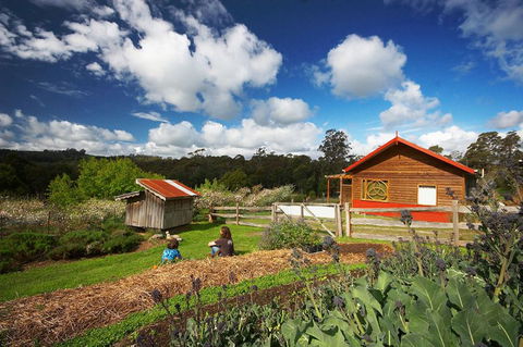 Elvenhome Farm Cottage - Accommodation Noosa 6