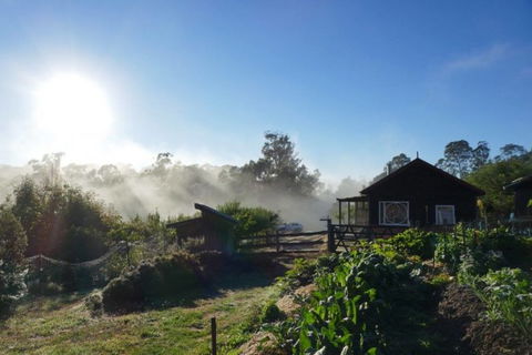 Elvenhome Farm Cottage - Accommodation Noosa 9
