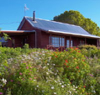 Gateforth Cottages - Accommodation Noosa