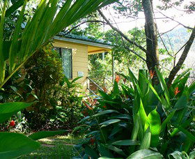 Daintree Valley Haven - Accommodation Noosa 0