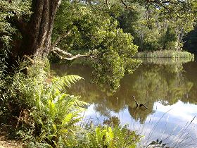 Weldborough Camping Ground - Accommodation Noosa 0