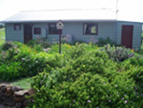 Engadine Cottage - Accommodation Noosa 0