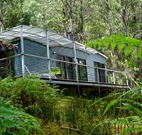 Huon Bush Retreats - Accommodation Noosa