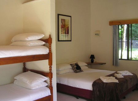 Lync-Haven Rainforest Retreat - Accommodation Noosa 1