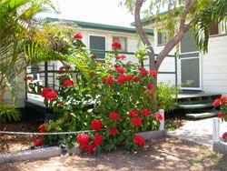Gee Dees Family Cabins - Accommodation Noosa 2