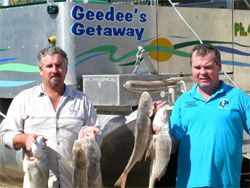 Gee Dees Family Cabins - Accommodation Noosa 4