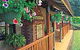 Curtain Fig Motel - thumb 0