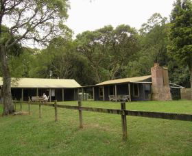 Tree Fern Lodge - Accommodation Noosa 0