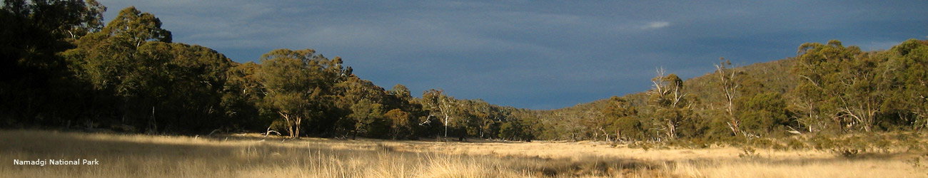 Tharwa ACT Accommodation Noosa
