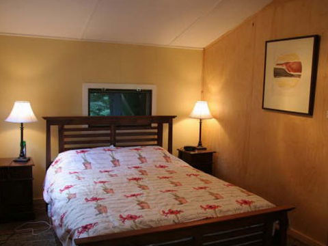 Tree Fern Lodge - Accommodation Noosa 3