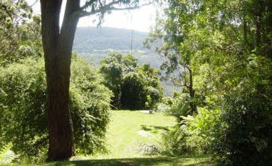 Red Dog Retreat - Accommodation Noosa 1