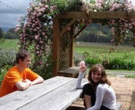 Back Forest Retreat - Accommodation Noosa 1