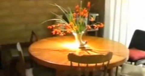 At The Springs Cottages - Accommodation Noosa 2