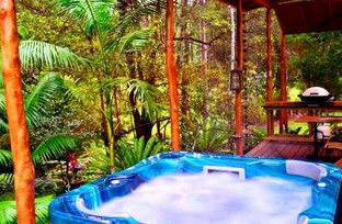 A Waterfall Hideout-Rainforest Cabin For Couples - Accommodation Noosa 5