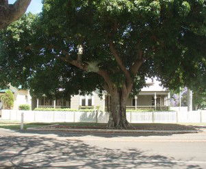 Annies Bed And Breakfast Grafton - Accommodation Noosa 3