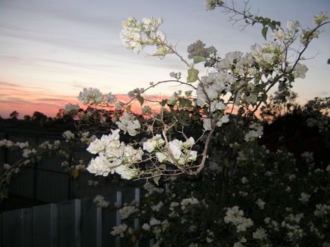 Sonjas Bed And Breakfast - Accommodation Noosa 2
