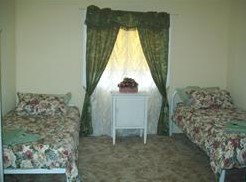 Lilly May Cottage - Accommodation Noosa 3