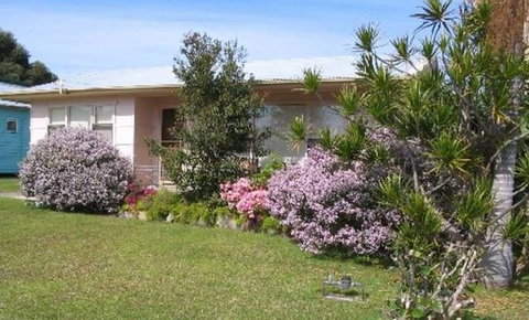 Maeville Cottage - Accommodation Noosa 0