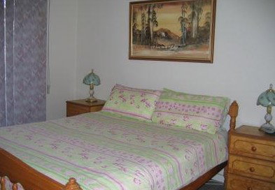 Miffys Cottage - Accommodation Noosa 4
