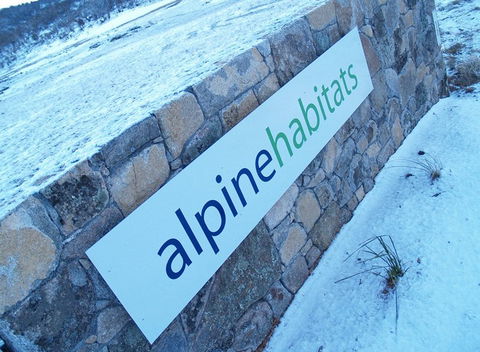Alpine Habitats - Accommodation Noosa 4