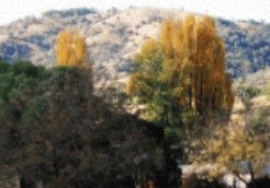 Nundle NSW Accommodation Noosa