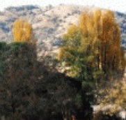 Birches Bed and Breakfast at Nundle - Accommodation Noosa