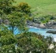 Aqua Bamboo - Accommodation Noosa