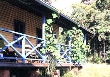 Callicoma Hill Eco-Cabins - Accommodation Noosa 3