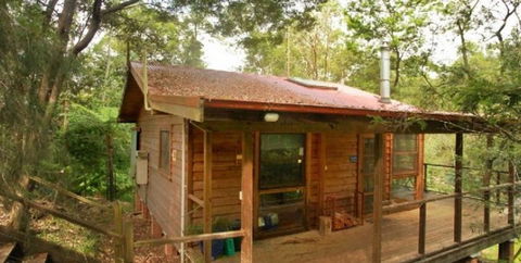 Bluegums Cabins - Accommodation Noosa 1