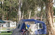 BIG4 Lake Macquarie - Monterey Tourist Park - Accommodation Noosa 5