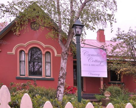 Camelia Cottage - Accommodation Noosa 3