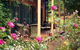 Buddens B And B Guesthouse And Tearoom - thumb 5