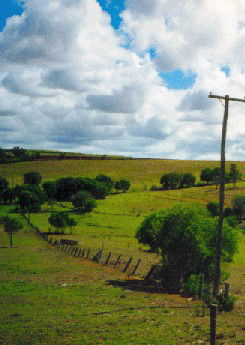 Mango Hill Cottages Bed And Breakfast - Accommodation Noosa 2