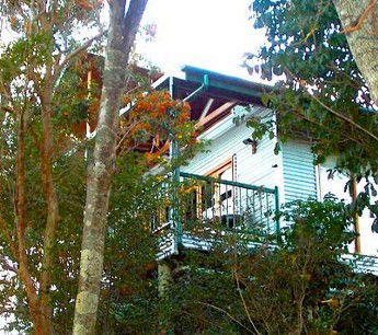 Worendo Cottages - Accommodation Noosa 1