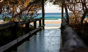 Anchorage Beachfront Island Resort - Accommodation Noosa 4