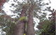 Moorlands Country Retreat - thumb 0