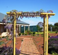 Lavendale Farmstay and Cottages - Accommodation Noosa