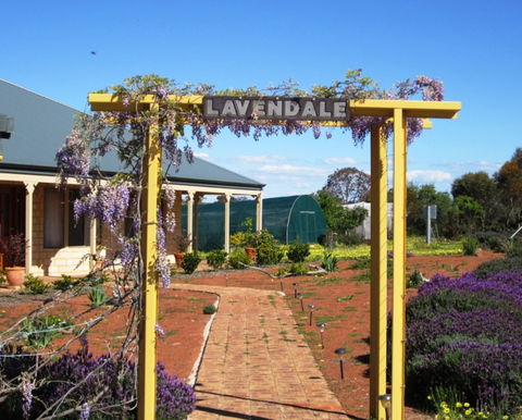Lavendale Farmstay And Cottages - Accommodation Noosa 0