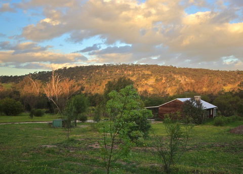 Lavendale Farmstay And Cottages - Accommodation Noosa 4