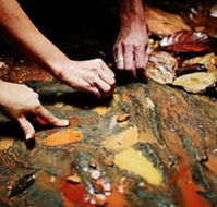 Daintree Eco Lodge And Spa - Accommodation Noosa