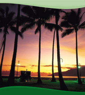 Bay Village Tropical Retreat, Cairns - Accommodation Noosa 1