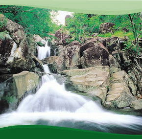 Bay Village Tropical Retreat, Cairns - Accommodation Noosa 2